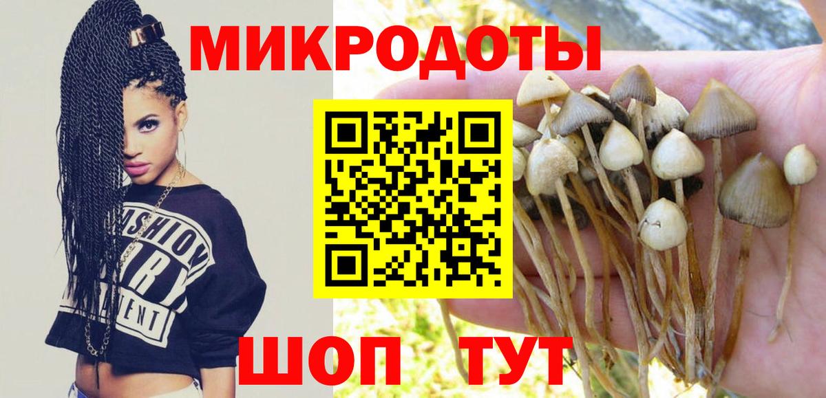 как найти закладки  Галлюциногенные грибы Psilocybine cubensis  Галлюциногенные грибы MAGIC MUSHROOMS  Вход с VPN  Рубцовск 